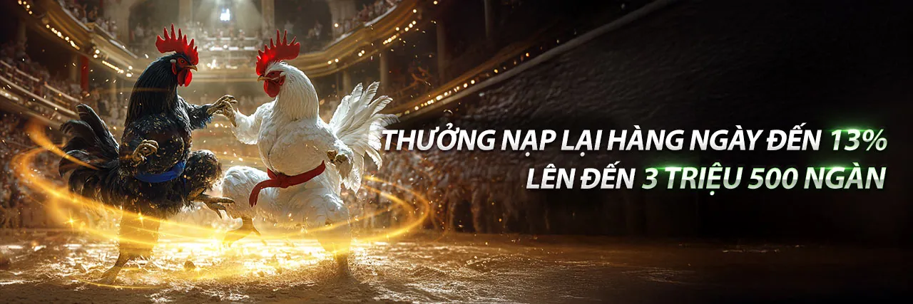 Trực Tiếp Đá Gà C1 C2 C3 C4 C5